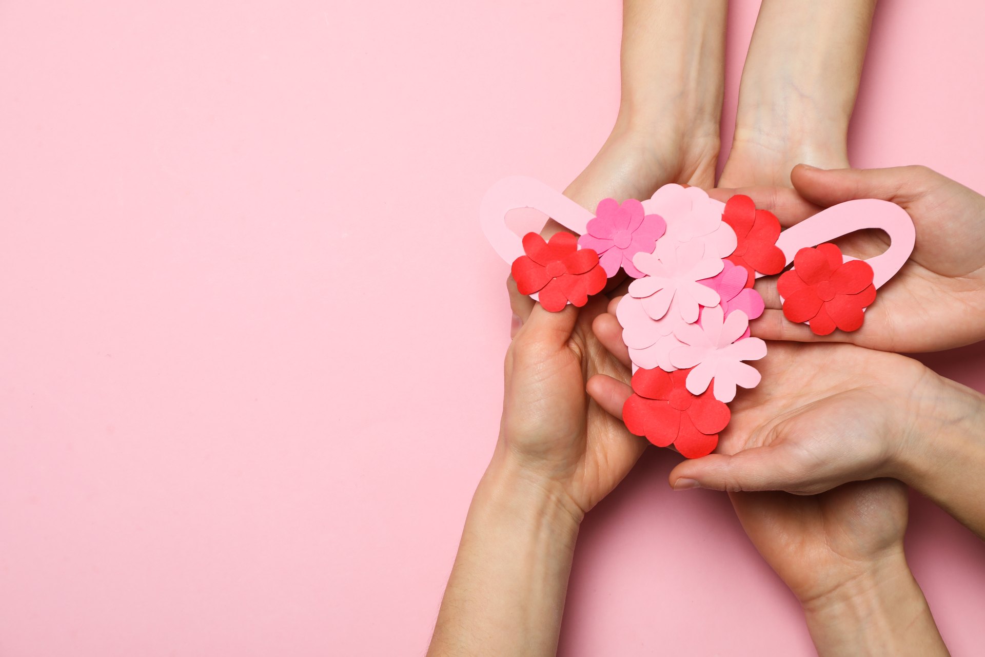Mãos femininas segurando flores de papel em tons de rosa e vermelho